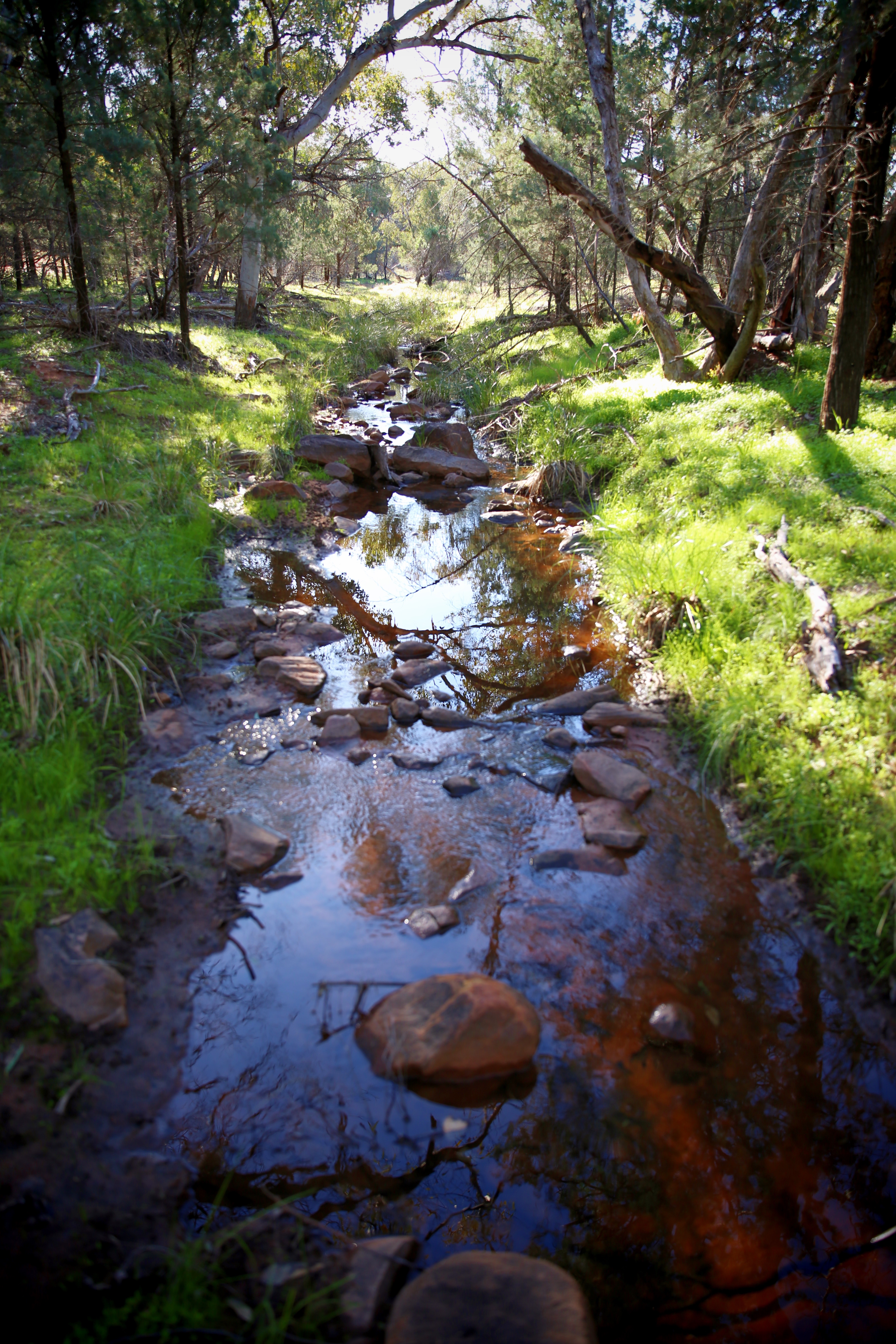 Creek 1