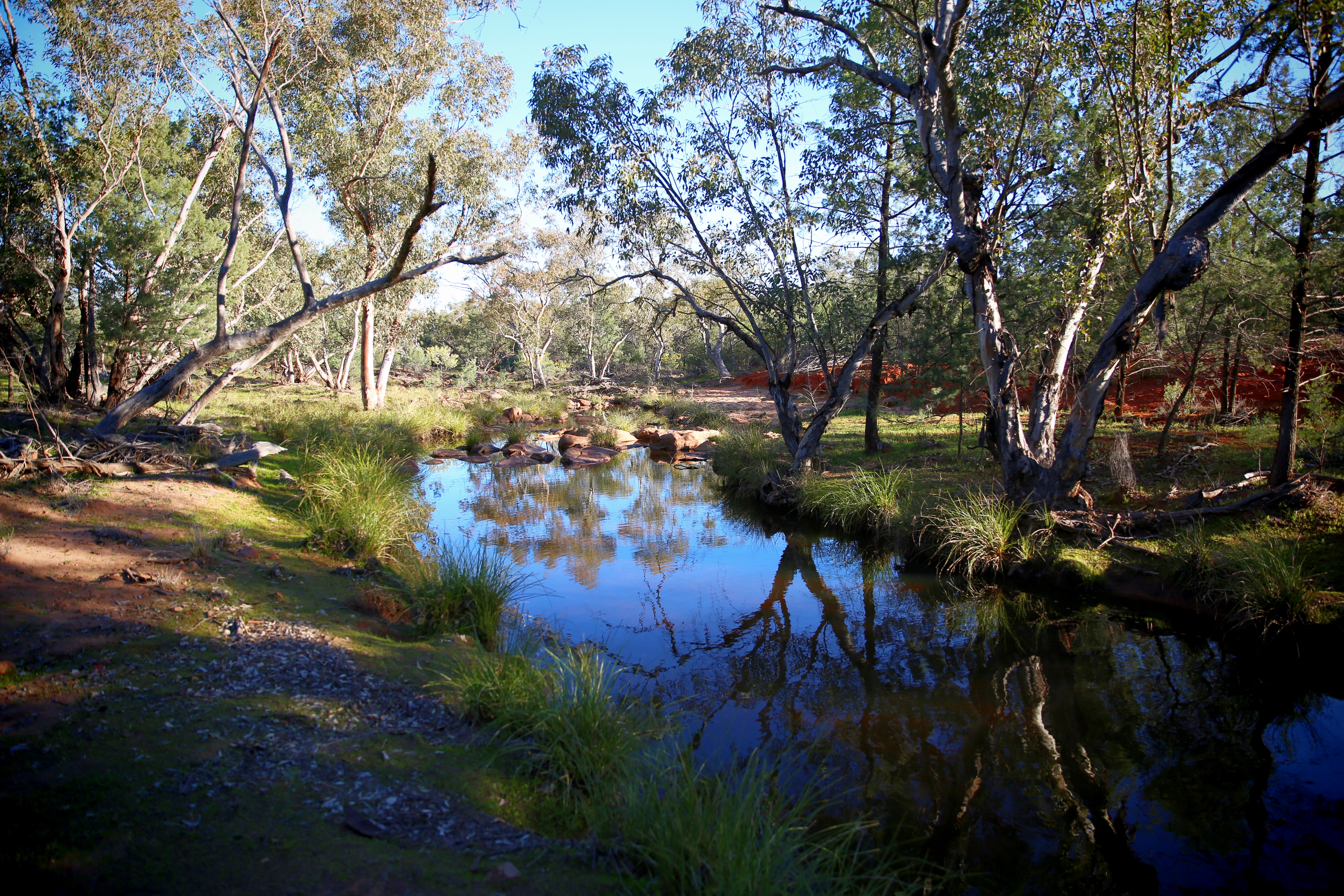 Creek 10