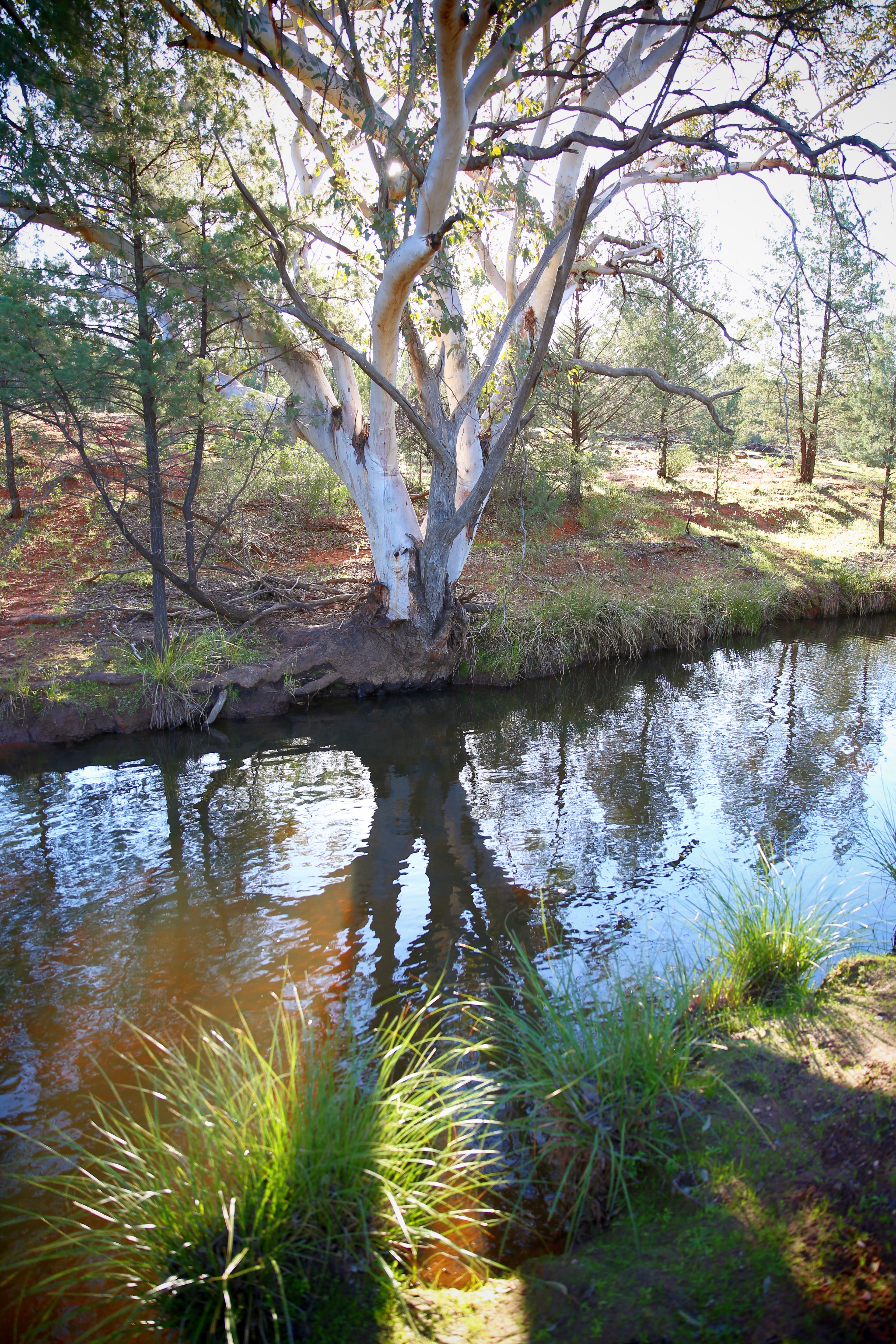 Creek 11
