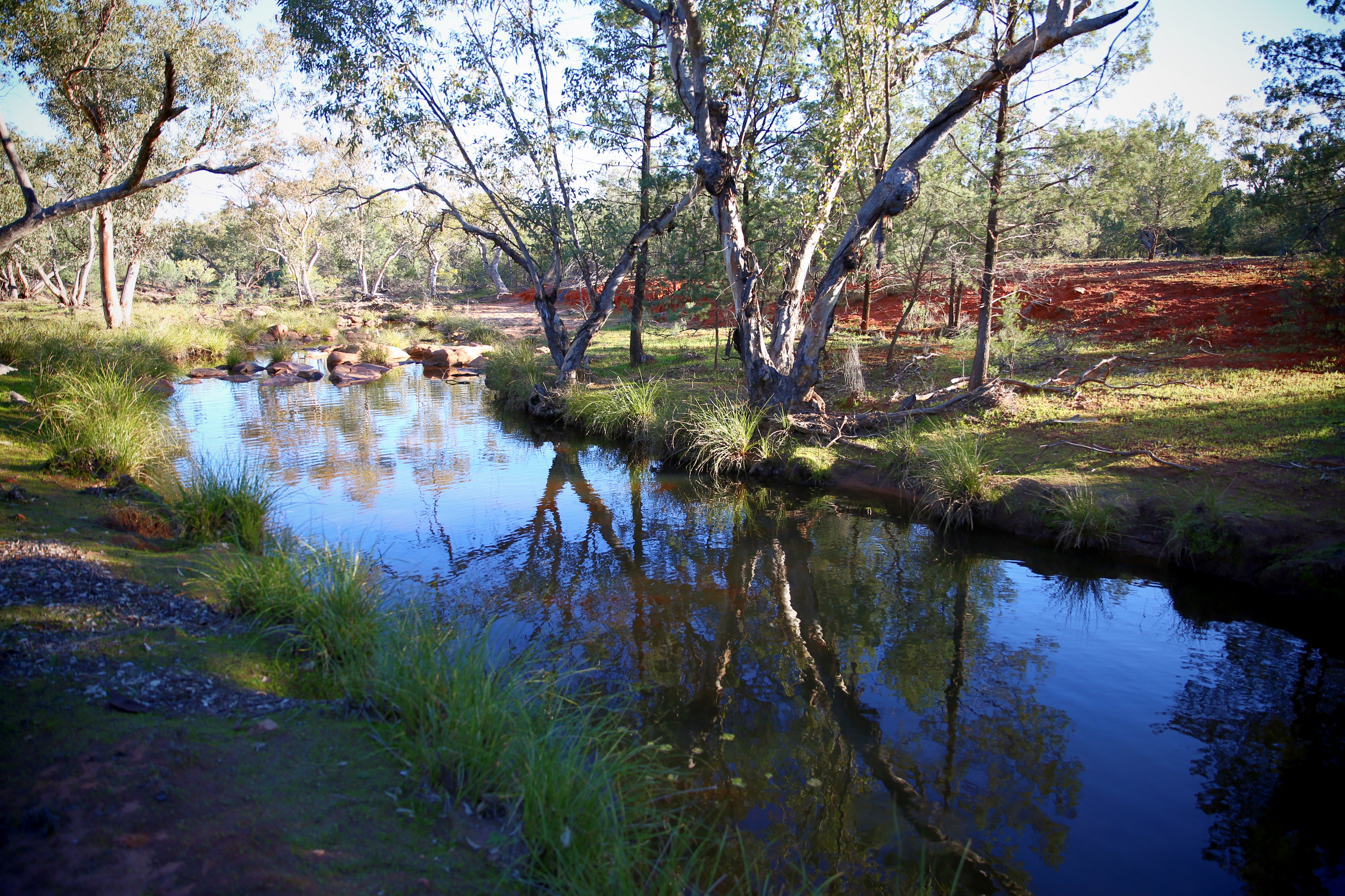 Creek 12