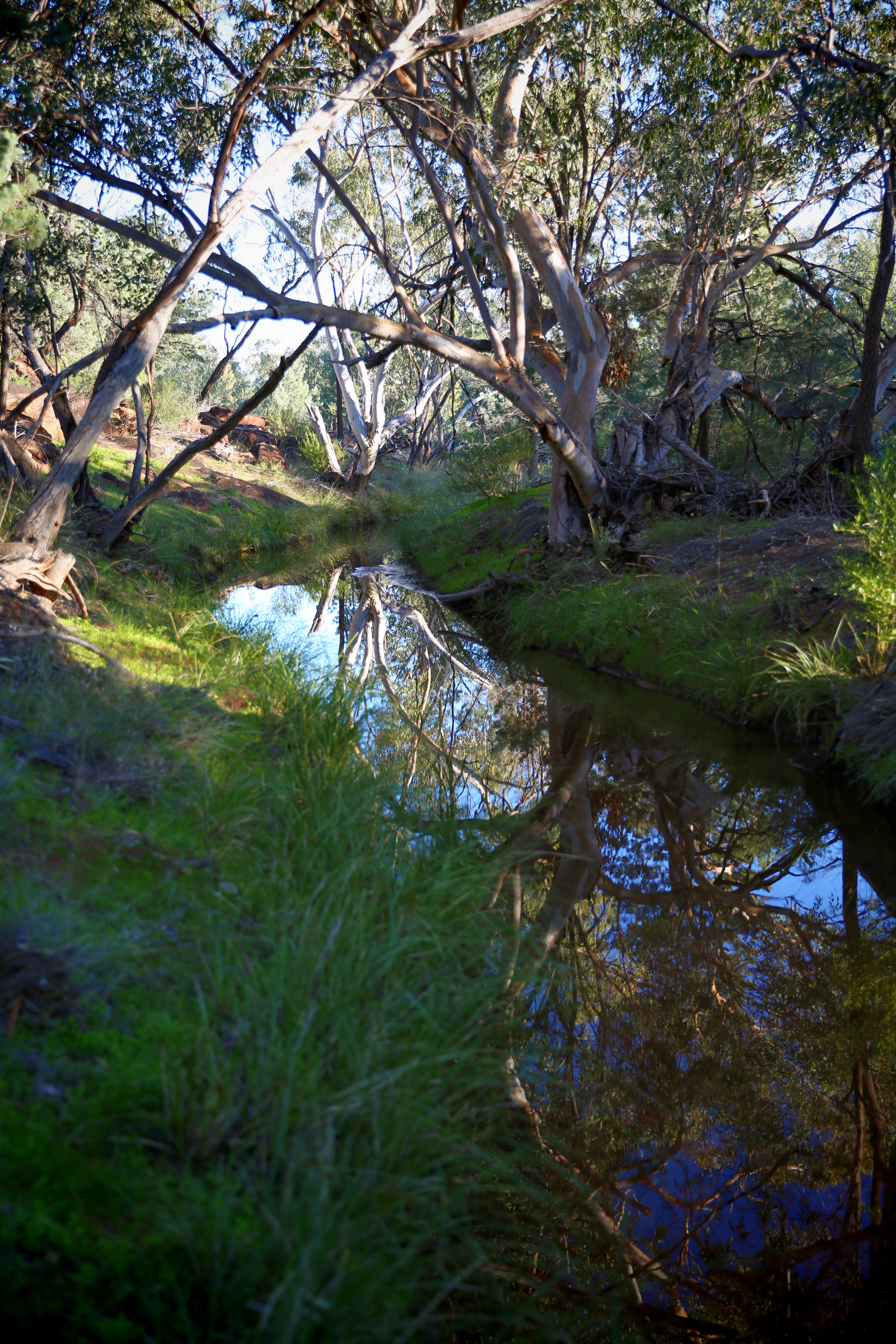Creek 19