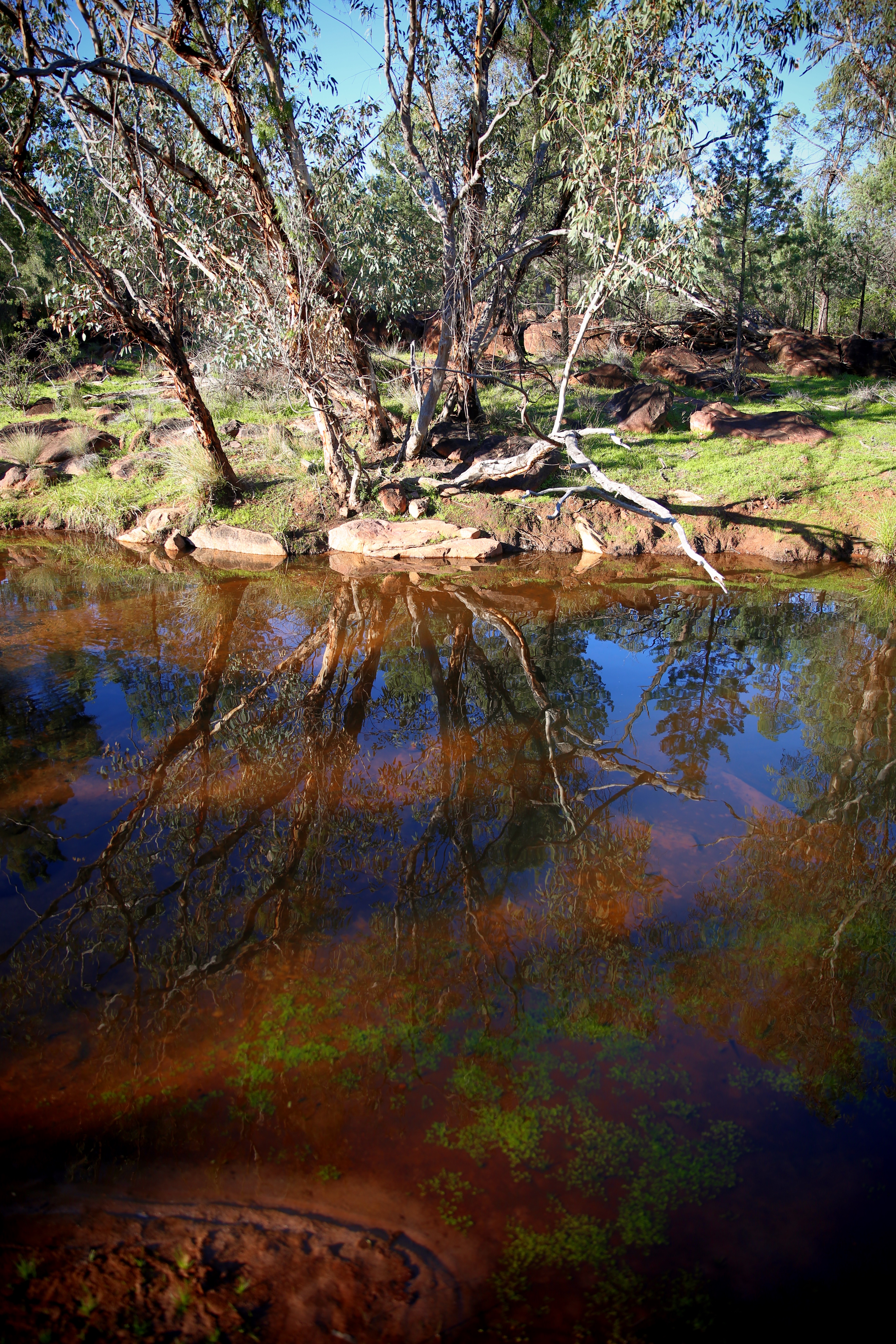 Creek 2