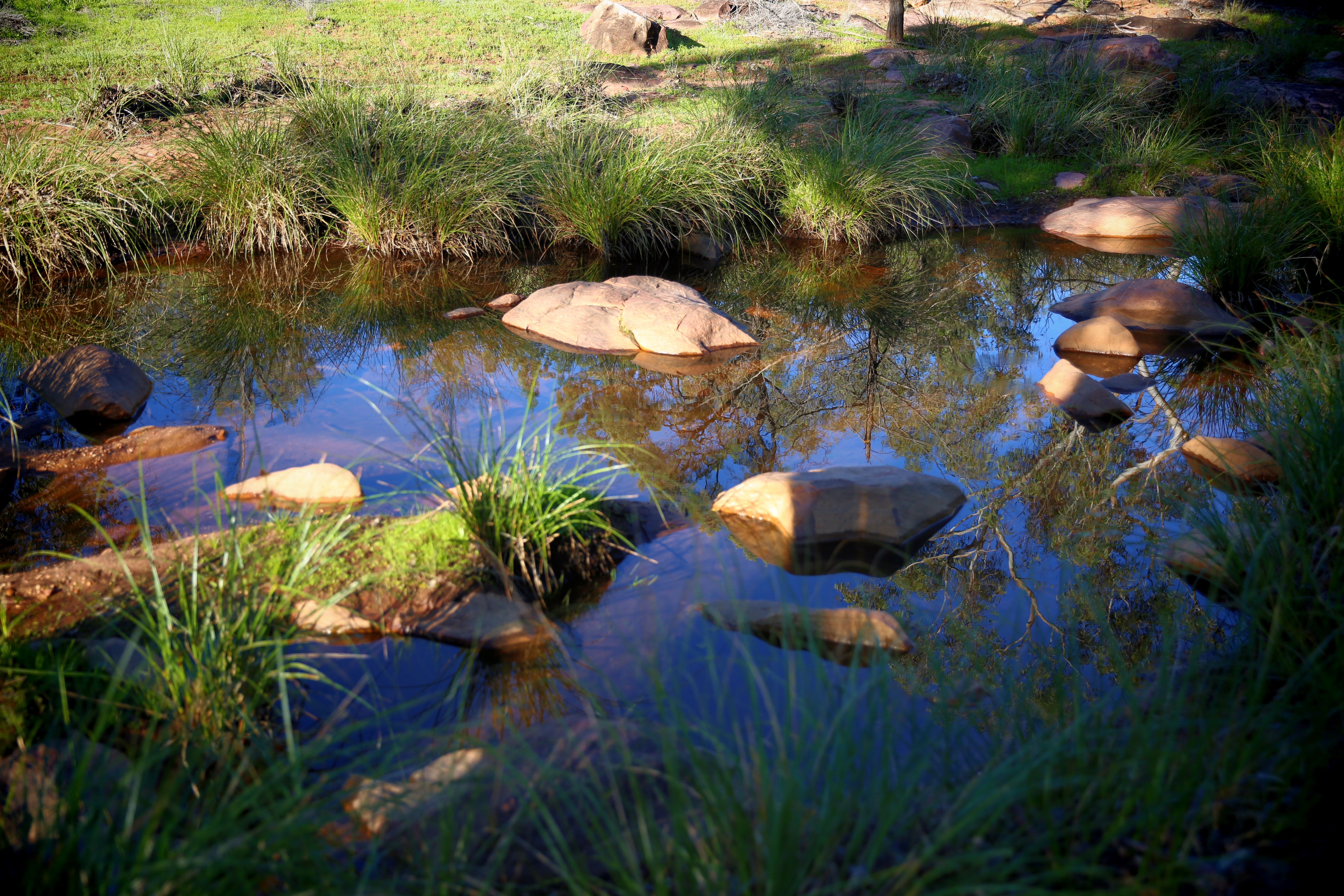 Creek 3