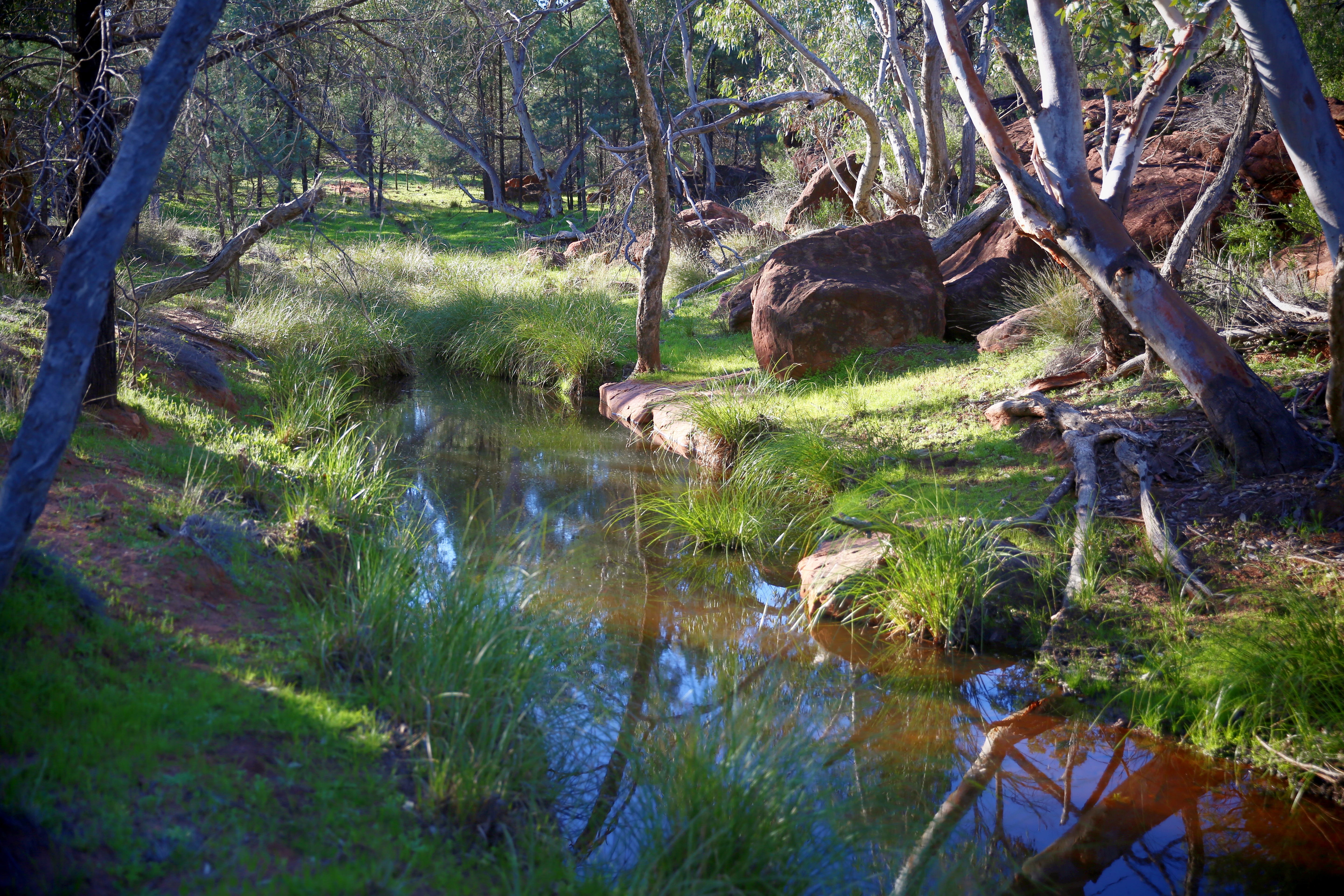 Creek 6