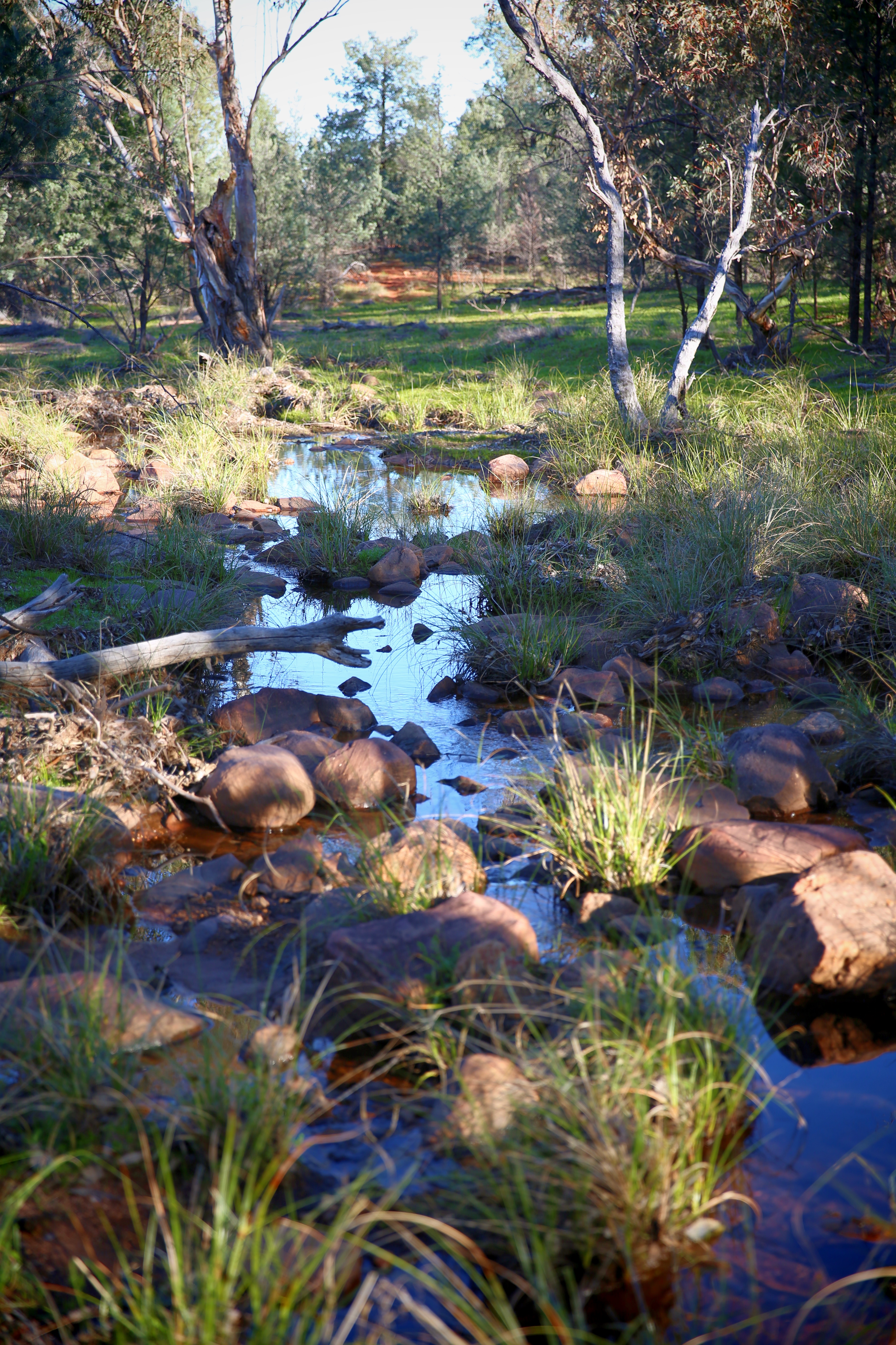 Creek 7