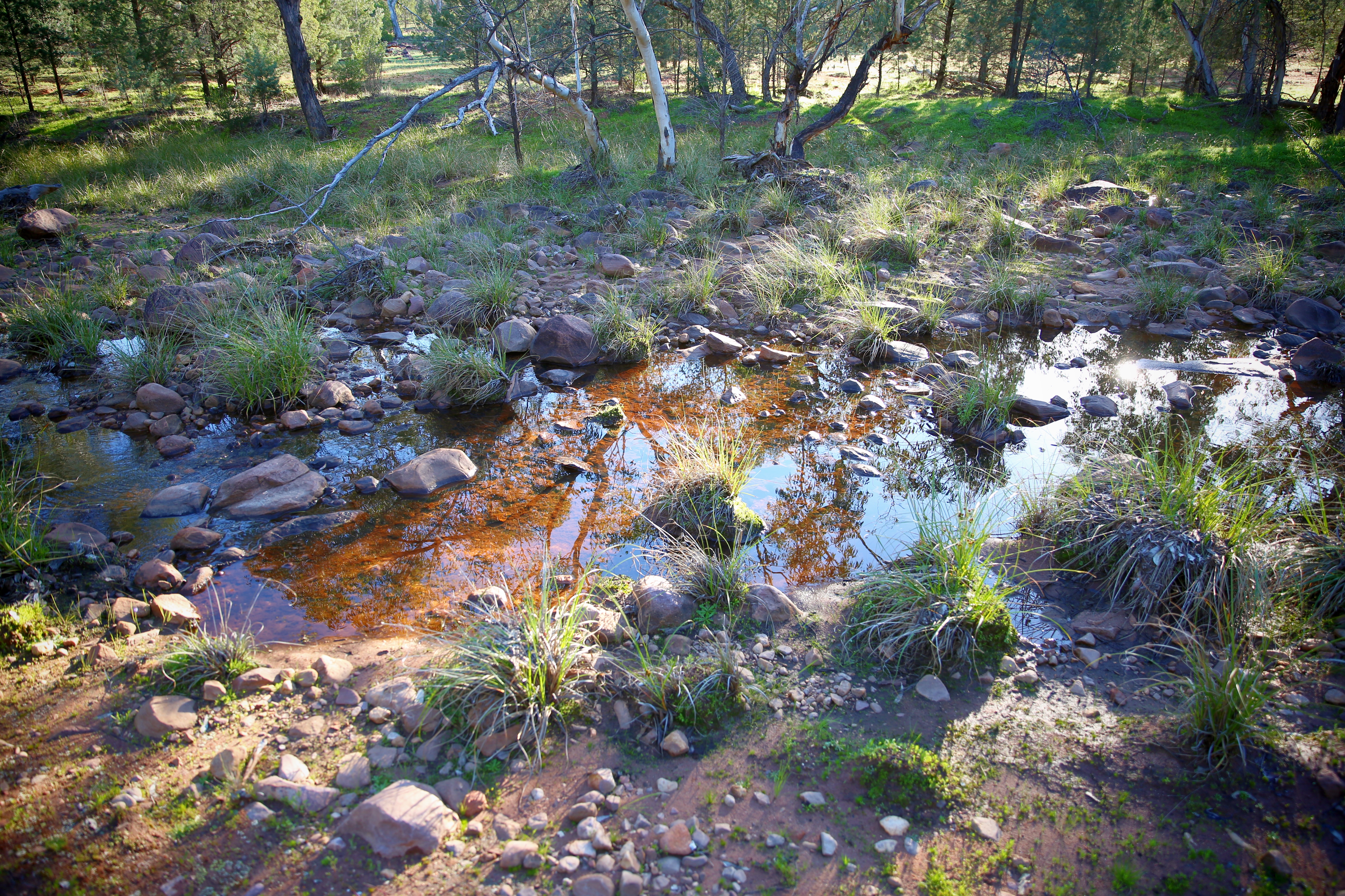 Creek 9