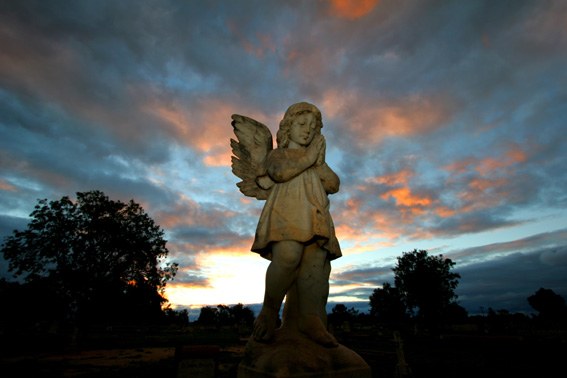 angel baby sml