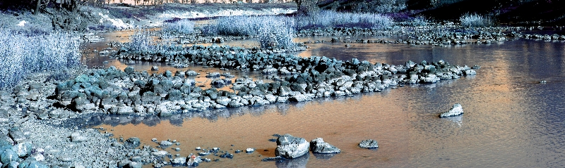 fishtraps image