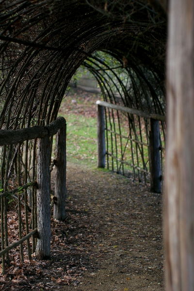 wicker walk