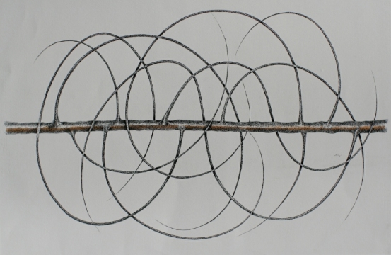 fine-vine