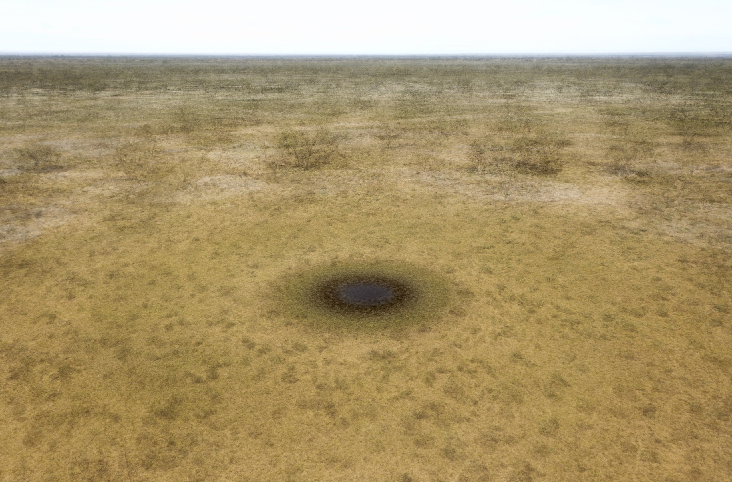 Anabranch Gilgai