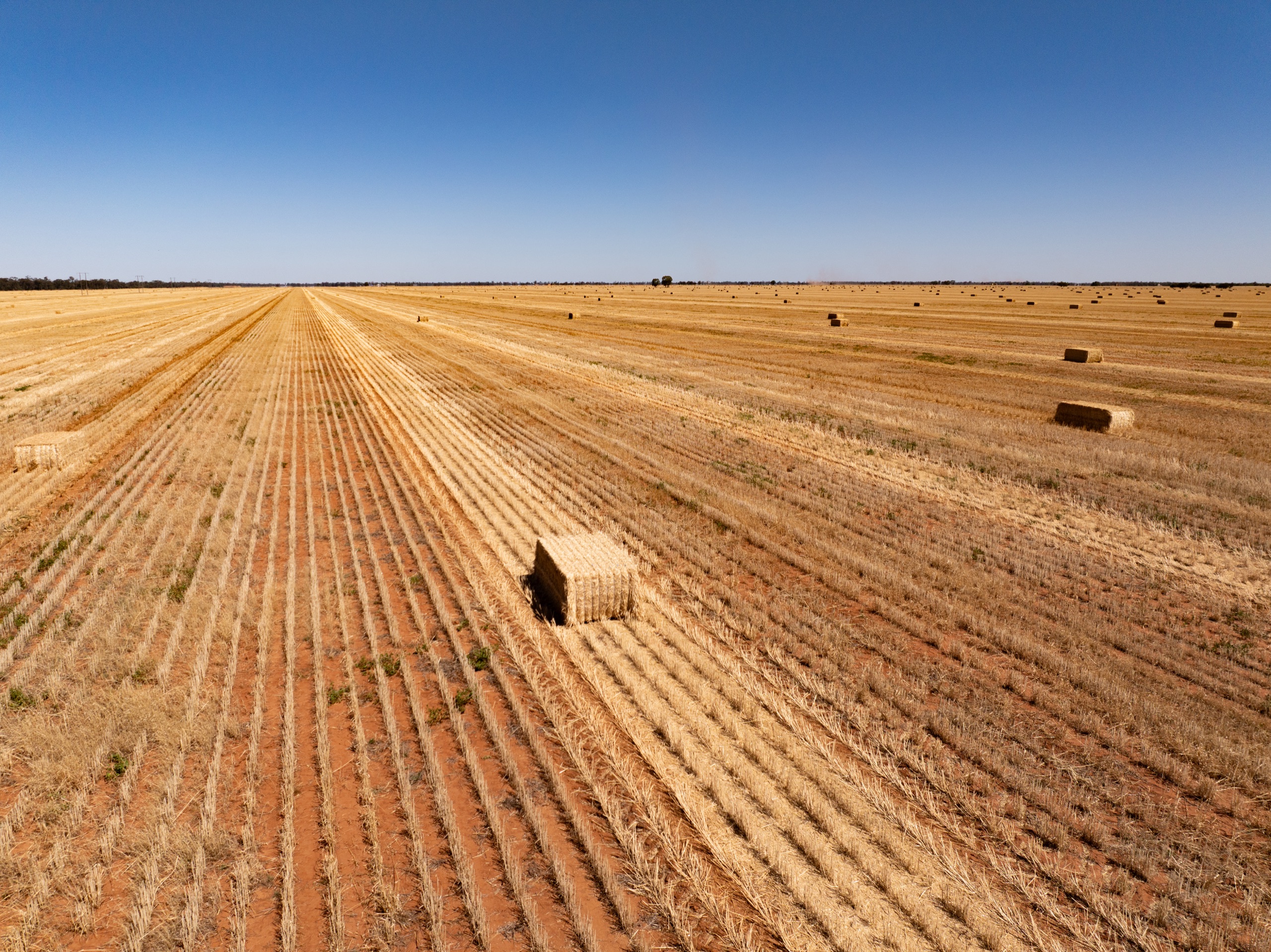 Farm Life   Bales