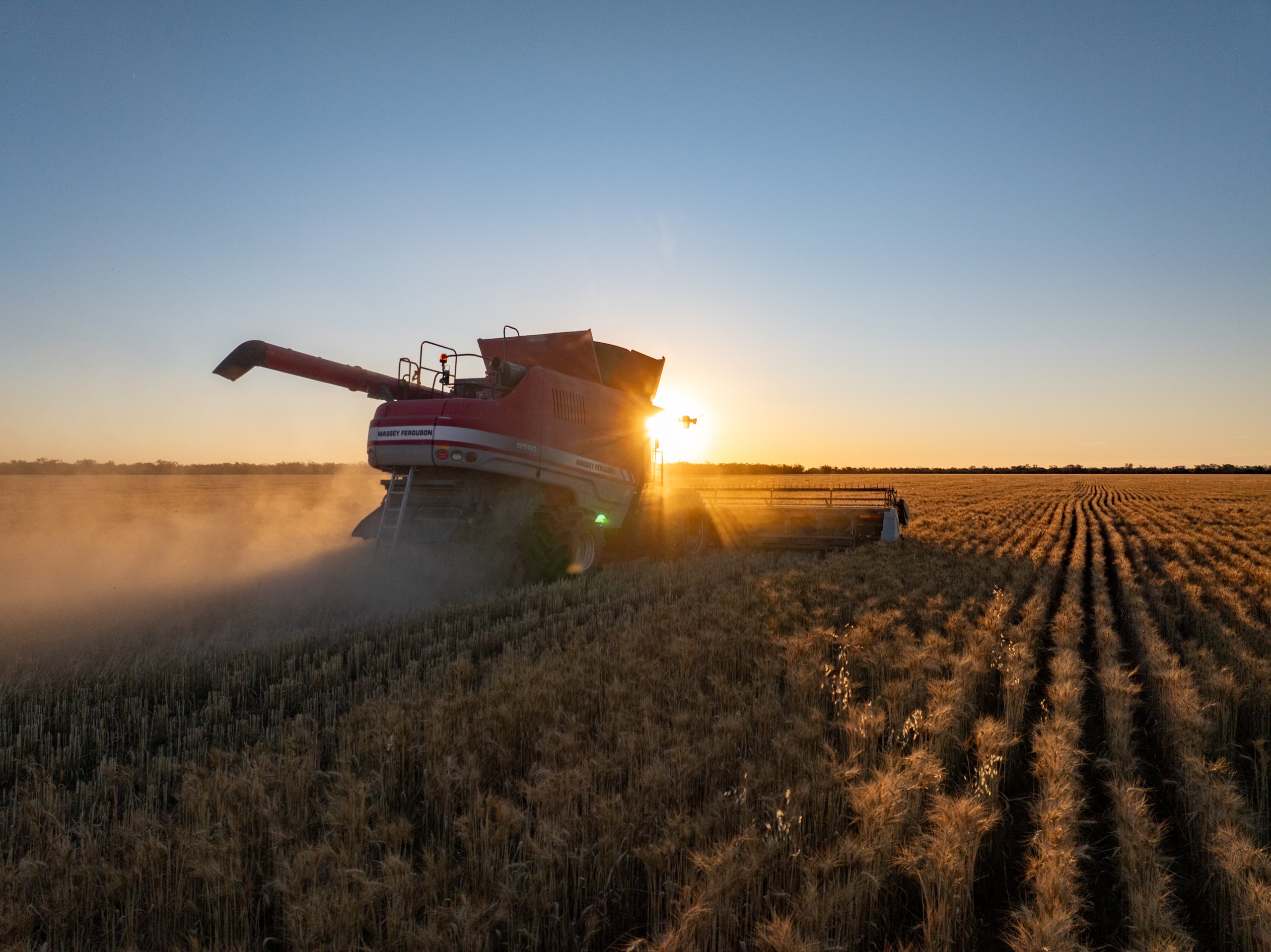 Farm Life   Harvest III