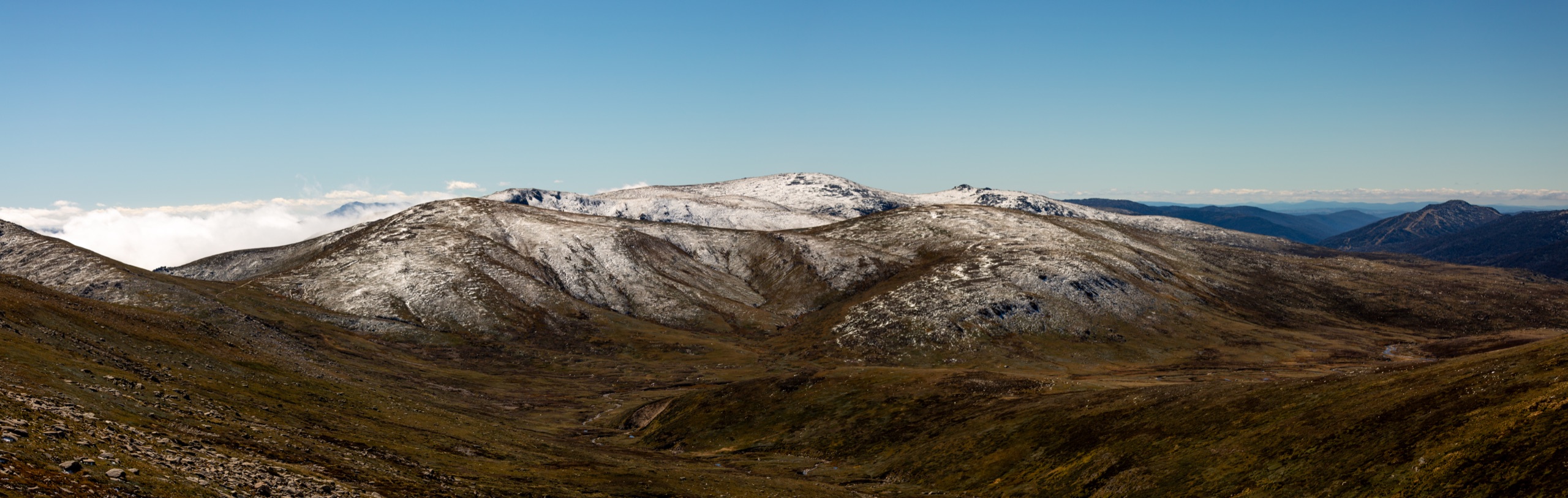 Kosciusko VIII
