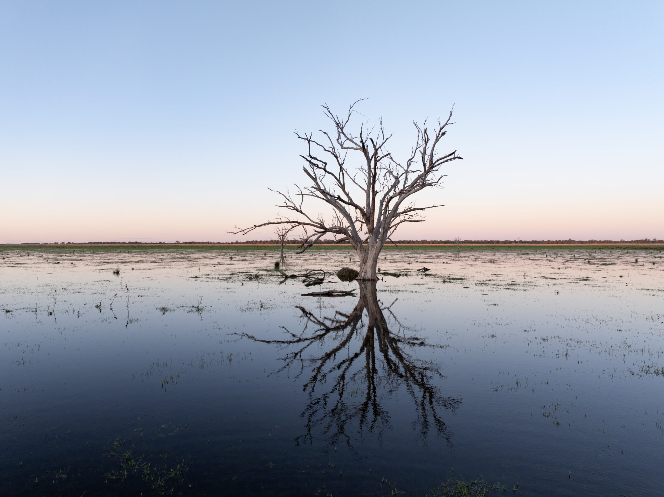 Marshes Wetland VII