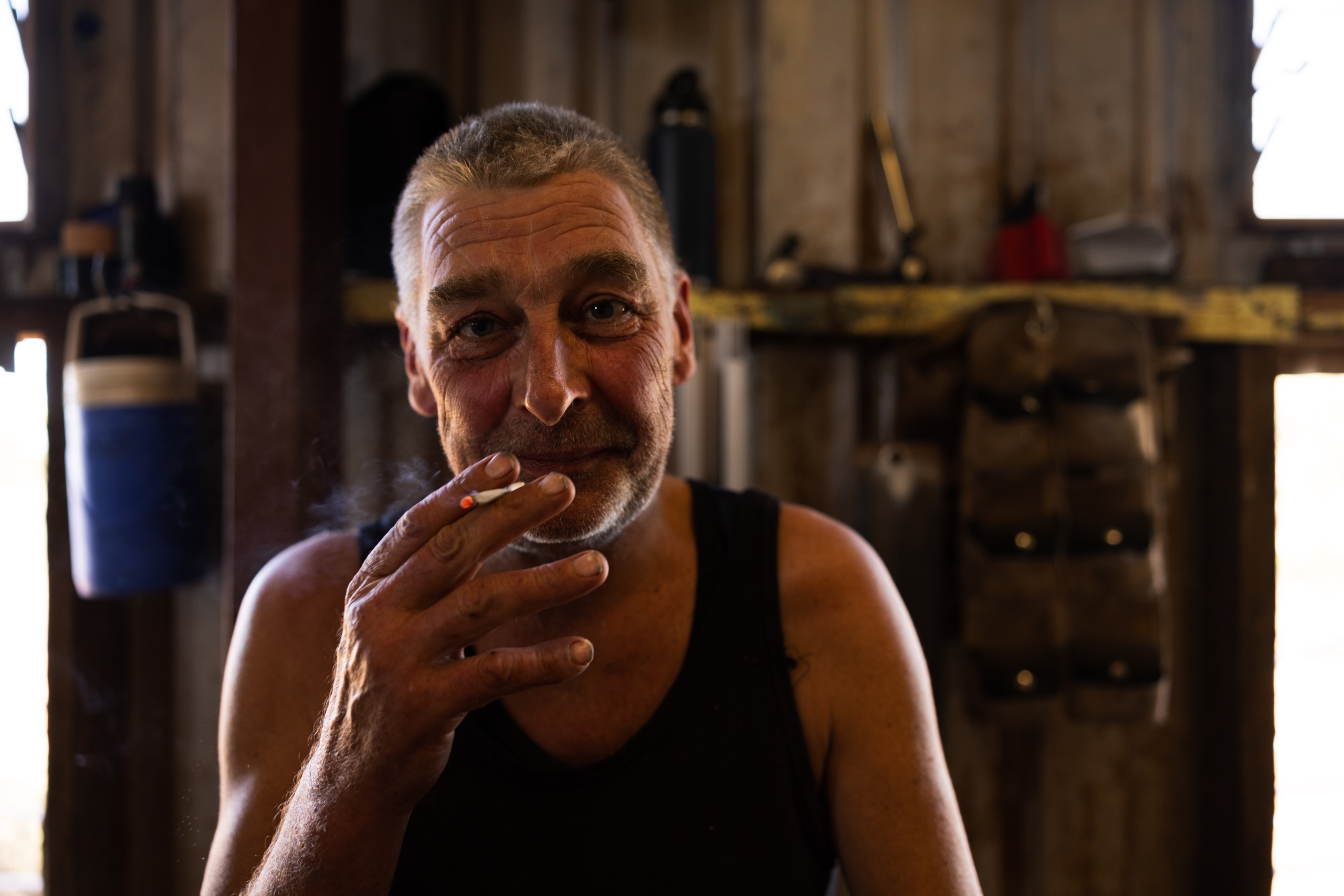 Wyndham Shearing II